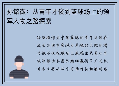 孙铭徽：从青年才俊到篮球场上的领军人物之路探索